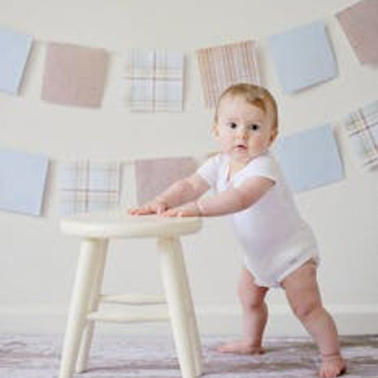 10 Milestones to Celebrate: Your Baby’s Journey from 6 to 12 Months